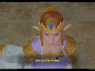 Prinzessin zelda trifft sie neu könig