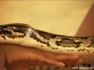 Bollywood in na enchanting snake
